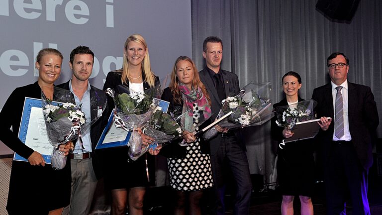 hsmaipriser 2014