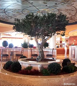 Restaurang, MSC Musica (Â©otoerres)