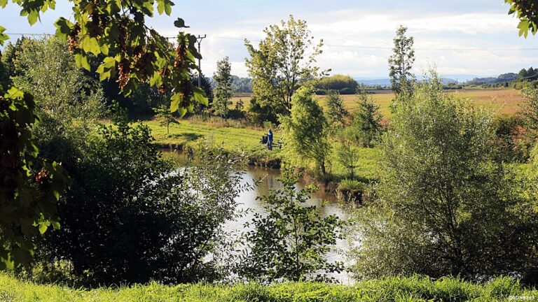 Natur , Moravia , Tsjekkia - ©otoerres