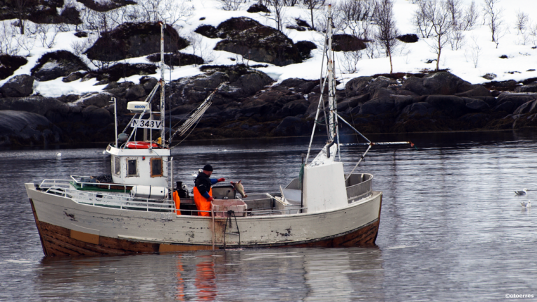 Skreifisker i Austnesfjorden - Sildpollnes - Svolvær - Lofoten