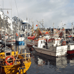 Svolvær havn - Lofoten - Fiskebåter - Skreifiske