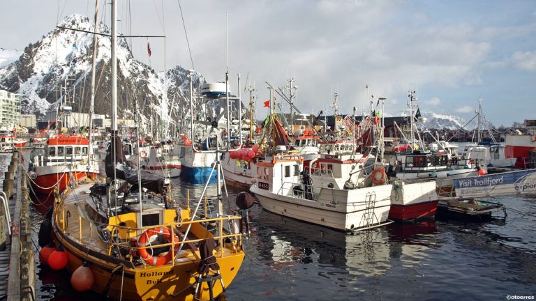 Svolvær havn - Lofoten - Fiskebåter - Skreifiske