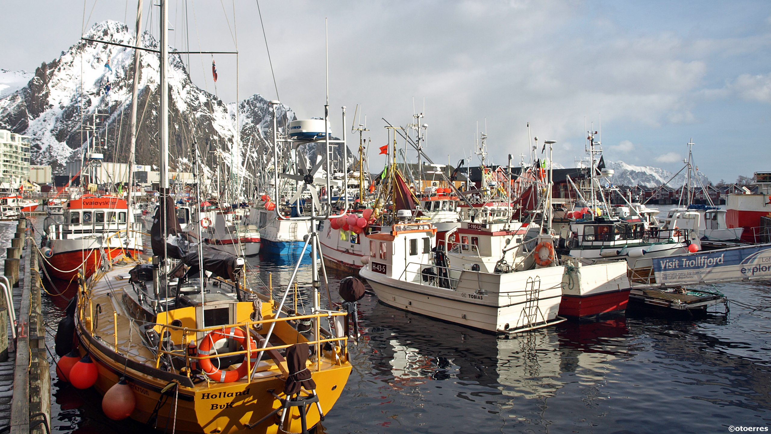 Svolvær havn - Lofoten - Fiskebåter - Skreifiske