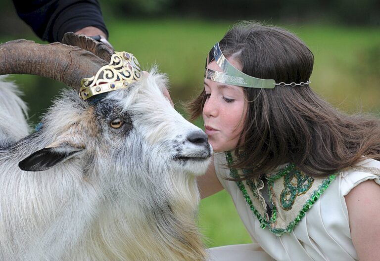 Irland- Festivaler- 2015 - Puck Fair
