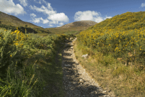 geocaching - irland - 2015