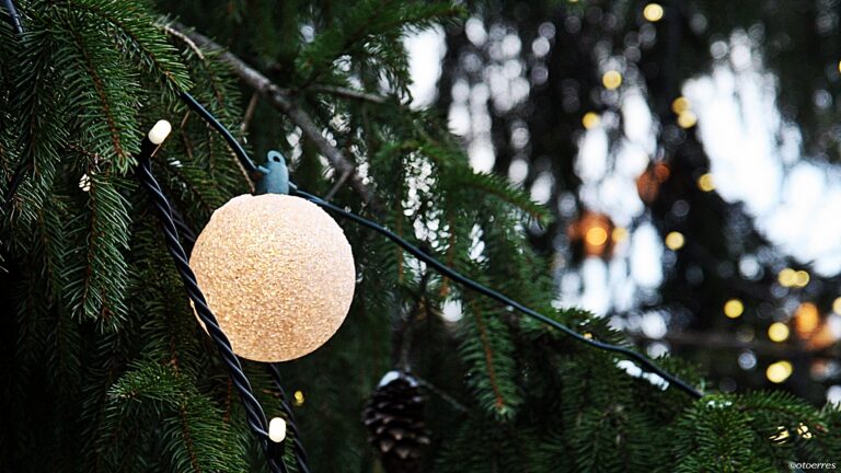 Dekor - Julegran - Julemarked - Tallinn - Estland -