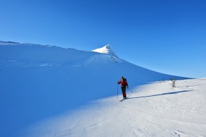 Nordic skiing, Åre (Foto: Lars Häreblad)