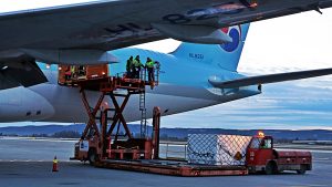 Korean Air Cargo lastes med fersk norsk sjømat som skal videre direkte til Seoul for distribusjon til det asiatiske markedet. (Avinor Oslo Lufthavn) 
