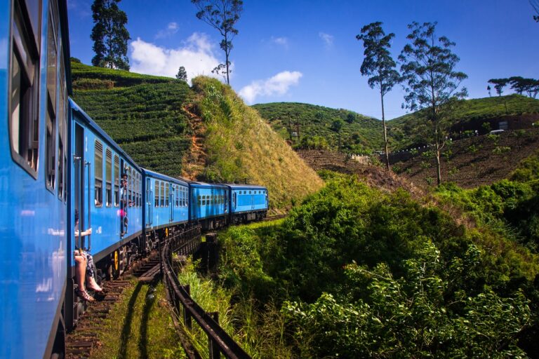 Apollo - tog - SriLanka - Te-plantasjer