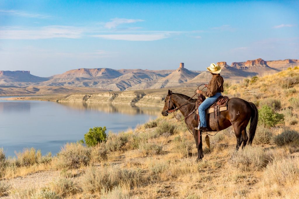 Cowboy - Hest - Wyoming - USA  - Andy Austin & The Wyoming Office of Tourism