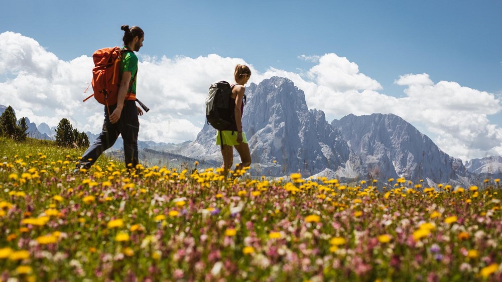 Syd-Tyrol - Val Gardena - Dolomittene - Italia - Natur