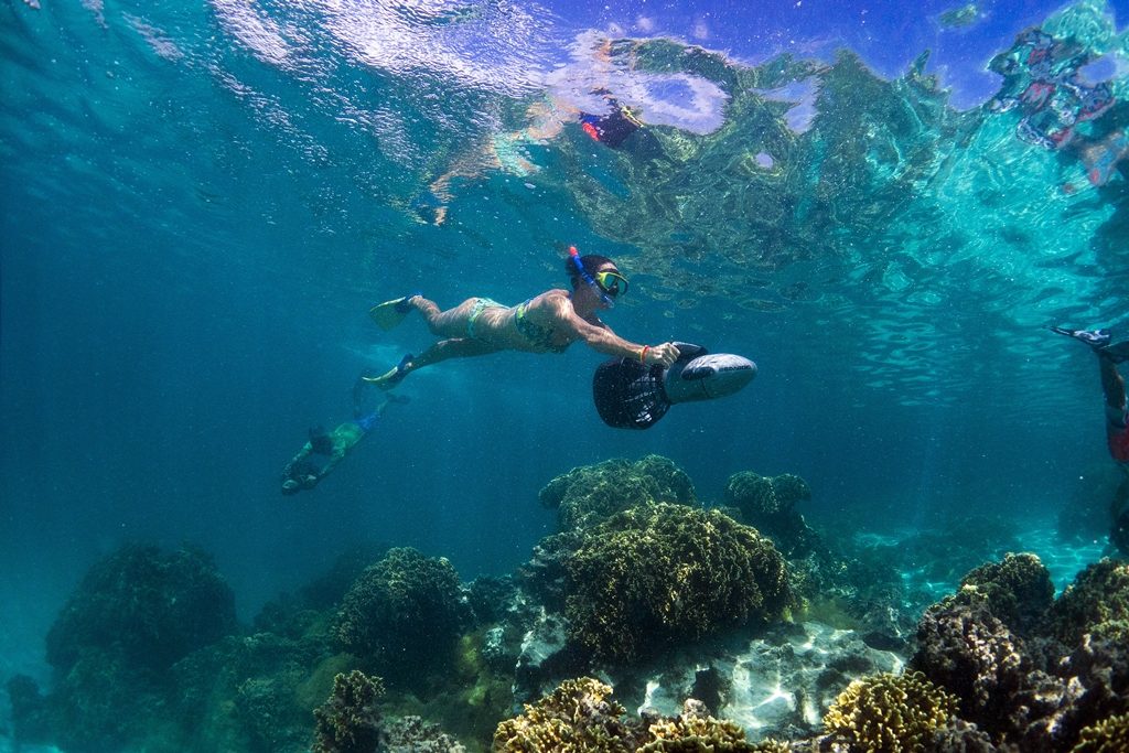 Cook Island - Sydhavsøyer - Stillehavet - dykking - Marinepark