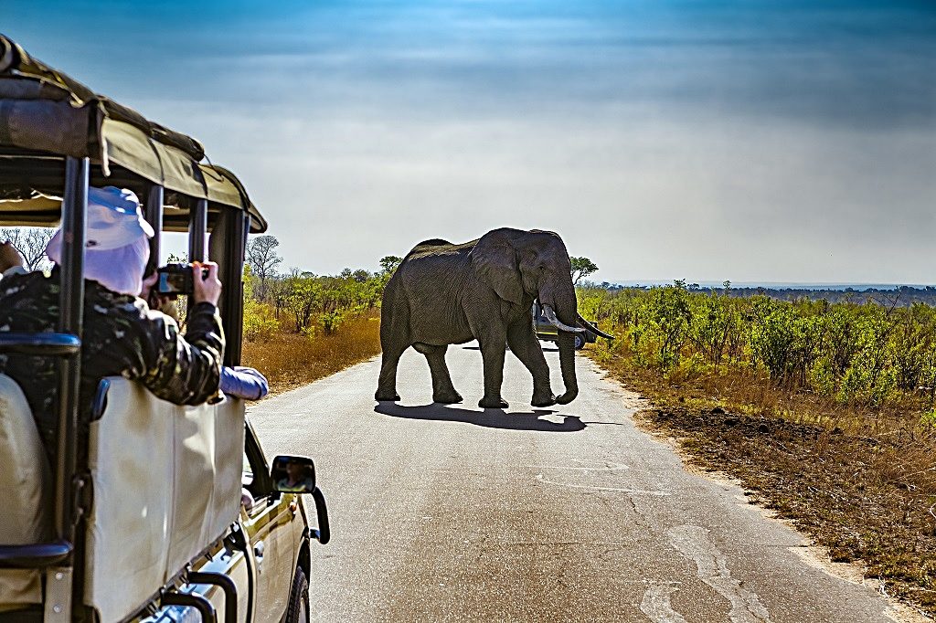 Emirates - Destinasjoner - Sør-Afrika - Kruger nasjonalpark