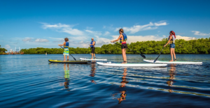 Paddleboard - Vannsport - Fort Myers - Sanibel - Florida - USA