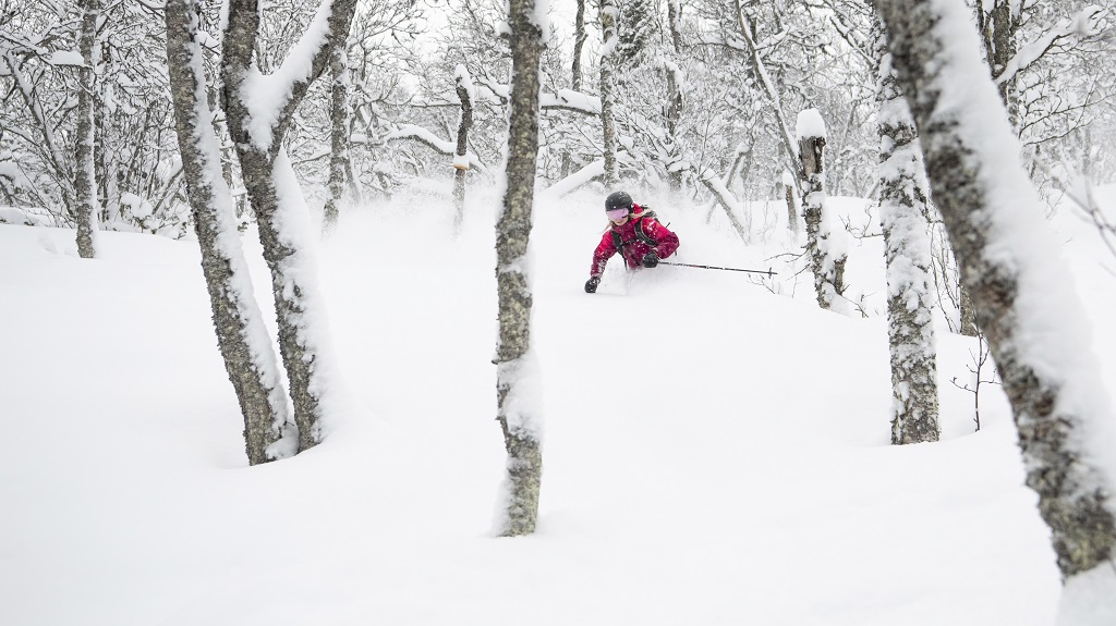 Offpiste - ski - PuddersnÃ¸ - Hemsedal