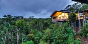 Hotels.com - Oâ€™Reillyâ€™s Rainforest Retreat - Queensland - Australia
