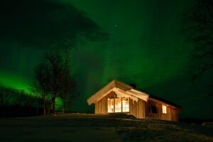 Nordlys - Tiplingen Skogstue - Hattfjeldal - Vefsn - Børgefjell nasjonalpark - Nordland - Statskog