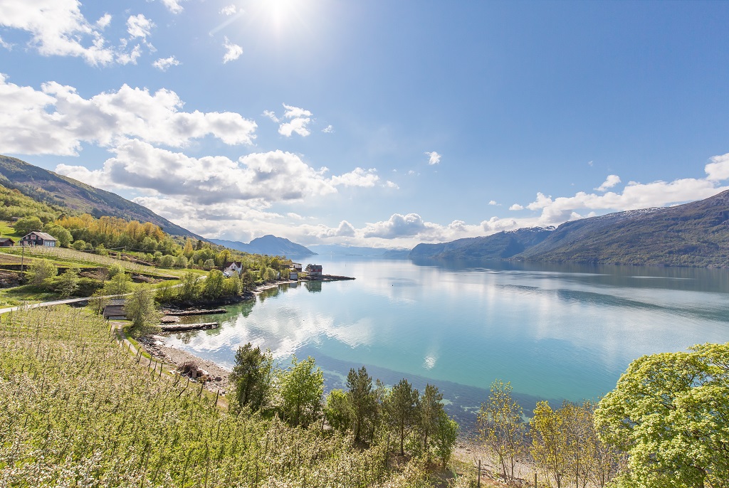 Visit Hardangerfjord - Fruktblomstring