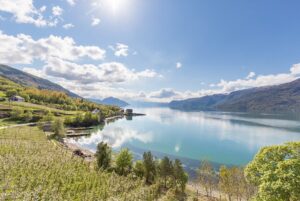 Visit Hardangerfjord - Fruktblomstring