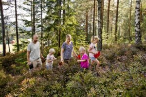 Røyland gård - Bærplukking - lokalmat - Saft - Syltetøy - Familien Sagstuen
