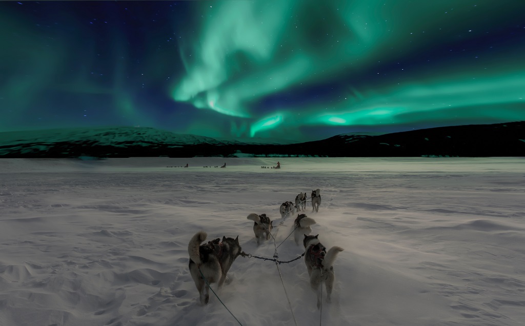 Nordlys - Hundespann - Finnmark