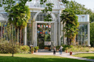 Bildestrøm - MAH - Musée d'art et d'histoire - Botanisk hage - Conservatoire et Jardin botaniques - Genève - Sveits