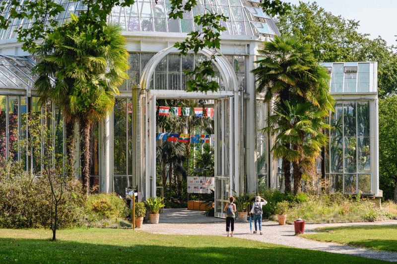 Bildestrøm - MAH - Musée d'art et d'histoire - Botanisk hage - Conservatoire et Jardin botaniques - Genève - Sveits
