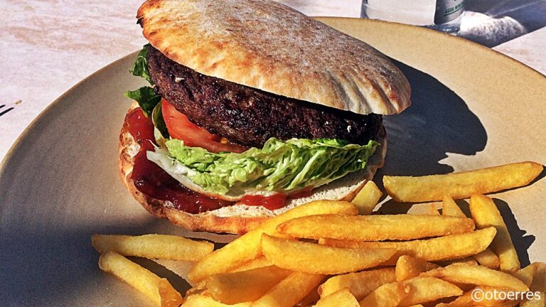 Hamburger - Campingrestaurant - Torre
