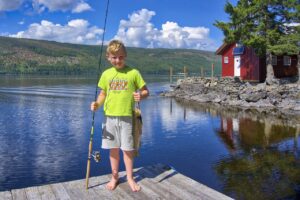 Statskog - Utleiehytter - Engelsvika - Rendalen