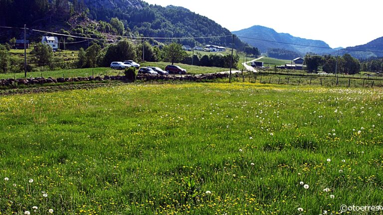 Tørresdal - Vats - Vindafjord - Ryfylke
