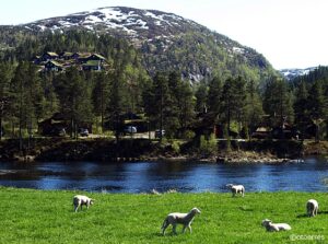 Saganeset - Solheimsdalen - Tjørhom - Sirdal - Agder