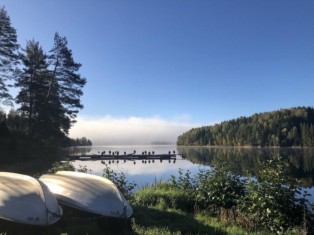 Sommarvik Camping - Årjäng - Värmland - Sverige