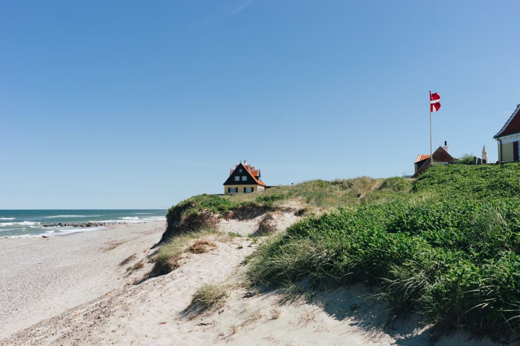 Strandliv i Skagen - Nordjylland - Danmark