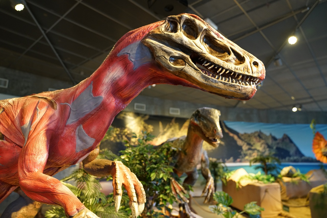Dinosauria - utstilling - INSPIRIA science center- Sarpsborg - 2020