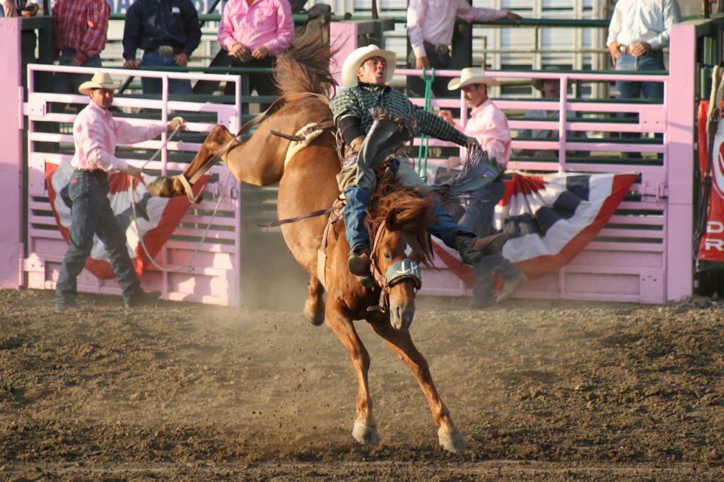 Rodeo - Nord-Dakota - The Great American West - USA