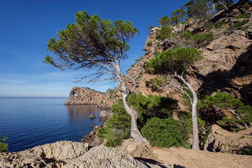 Sa Foradada - Halvøy - Mallorca - Spania 