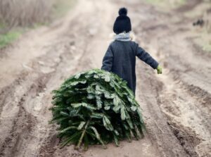 Ensomt Juletre søker gaver - Kampanje - Nordic Choice Hotels -