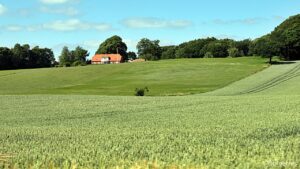 Søhøjlandet - Himmelbjerget - Jylland - Danmark