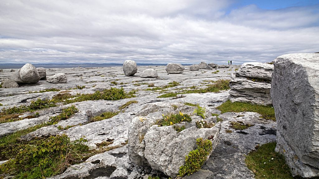Black Head - Økolandskap - Burren - The Wild Atlantic Way - Irland