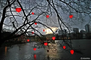 Julestemning - Breiavatnet - Stavanger