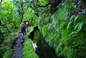 Levada da Portela - Madeira - Portugal