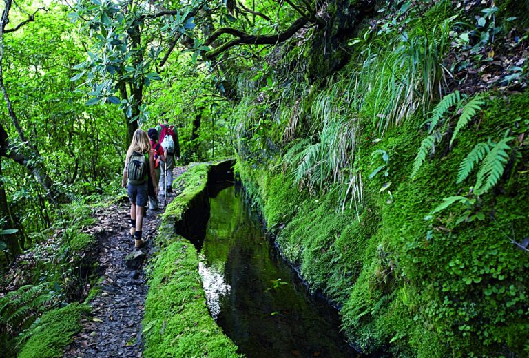 Levada da Portela - Madeira - Portugal