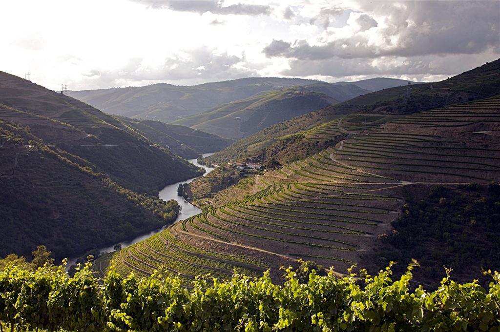 Dourodalen - Elv - Nord-Portugal - Vinmarker
