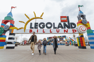 Bildestrøm Danmark 2021