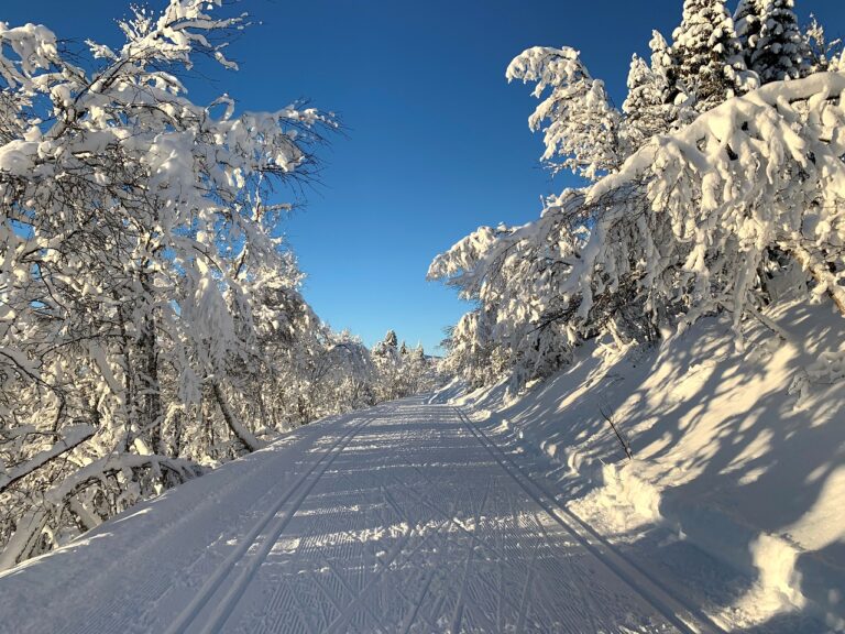Snø - Skiføre - Vinterlandskap - Norge - If forsikring - Europeiske