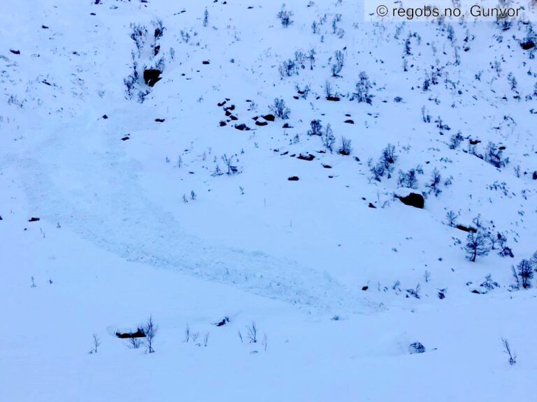 Snøskred - ras - Røde Kors hytten - Hunnedalen