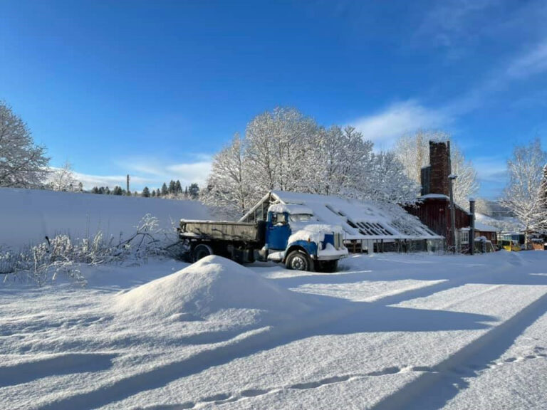 Snø - vinter - Trøndelag 2021 - Meteorologisk institutt