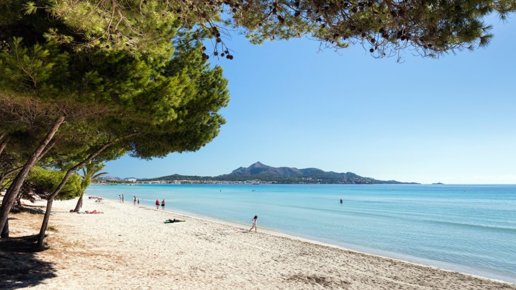 Playa de Muro - Strand - Alcudia - Mallorca