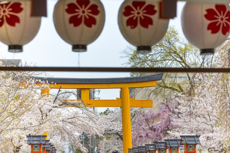 Japan - Illustrasjon - Related