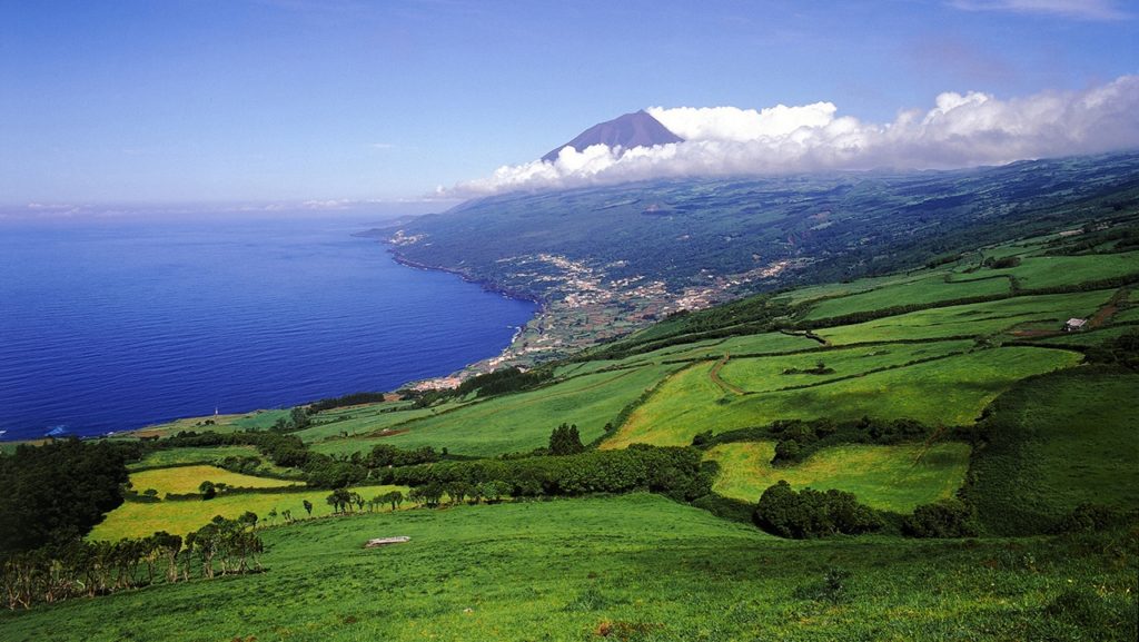 Landskap - Pico Island - Azorene - Portugal 